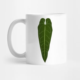 Anthurium 'warocqueanum' | Houseplant Queen Mug